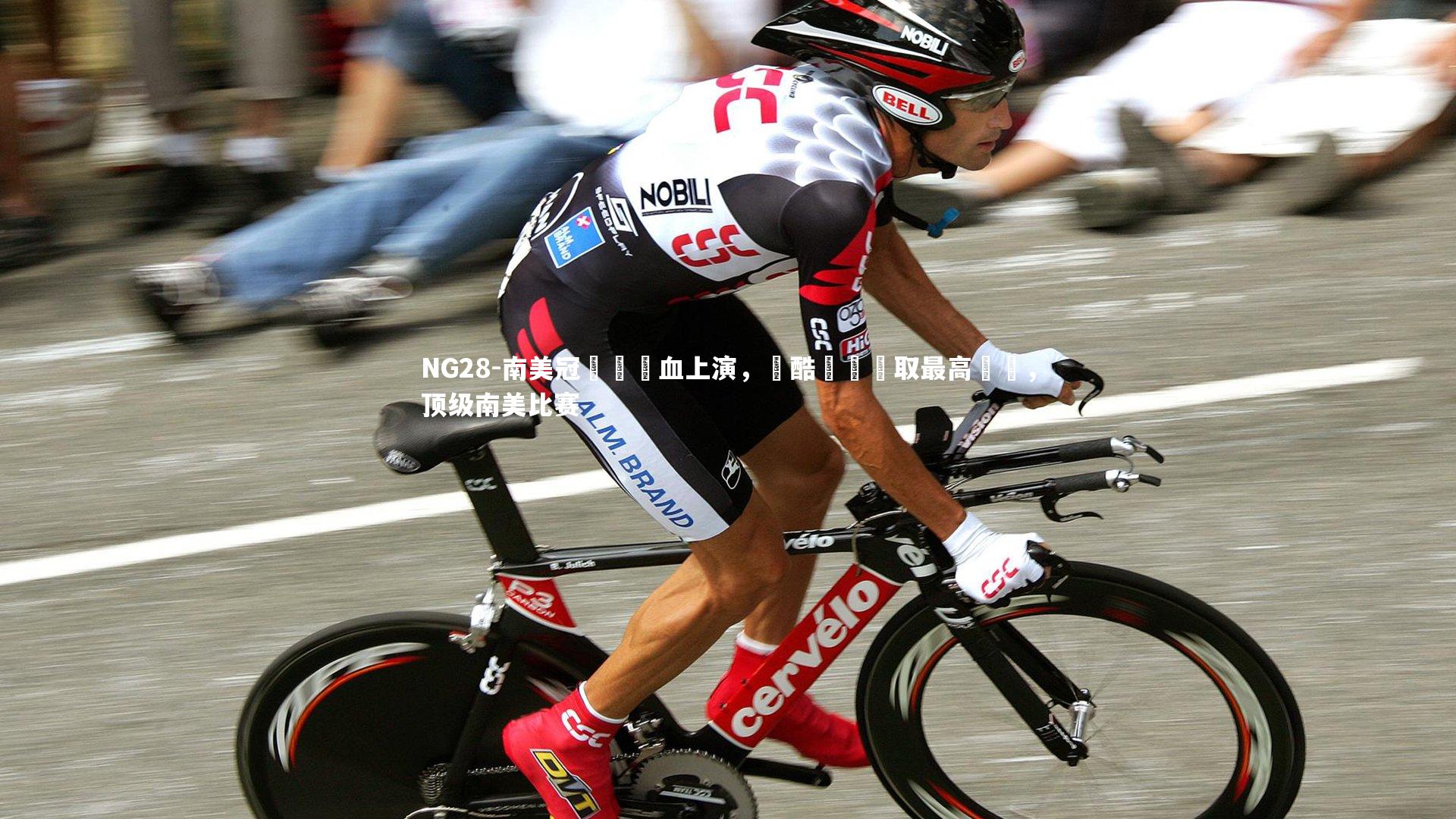 NG28-南美冠軍戰熱血上演，殘酷殺敗爭取最高榮譽，顶级南美比赛