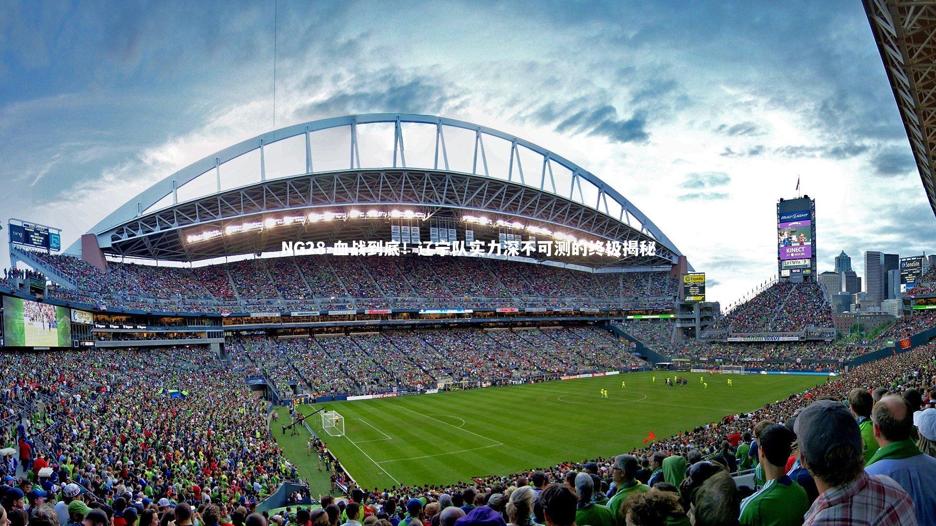 NG28-血战到底！辽宁队实力深不可测的终极揭秘